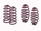 VOGTLAND Sport Spring Set