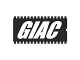 GIAC VR6 CHIP ( GARRETT ) for use with stock cams