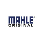 Buy Mahle Products Online