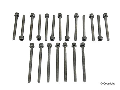 Mk4 R32 Victor Reinz head bolt set