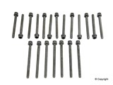 Mk4 R32 Victor Reinz head bolt set