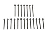 Mk4 2.8L 24V Victor Reinz head bolt set