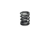 AUTOTECH SPORT TUNED VALVE SPRINGS H/D / 