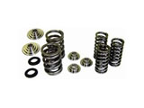 Supertech H.D. Valve Spring Kit with Titanium Retainers  ( VW AUDI 1.8T 20V) / 