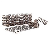 IE FSI 2.0T Valve Spring/Retainer Kit / 