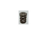 FERREA TITANIUM RETAINERS & VALVE SPRING SET (12V VR6) / 